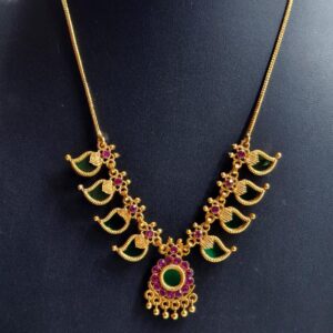 palakka mango set