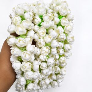 jasmine 10 petal